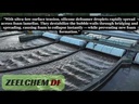 Odoo Video